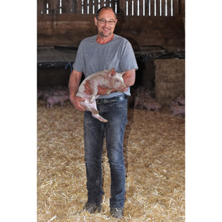 Elevage des cochons en agriculture biologique